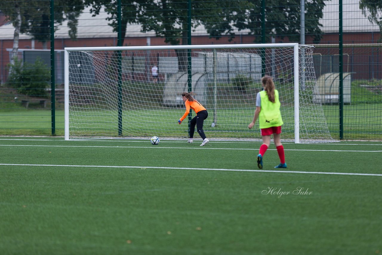 Bild 172 - C-Juniorinnen HSV - Walddoerfer : Ergebnis: 9:1